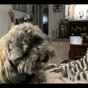 Meet your Posher, Patty